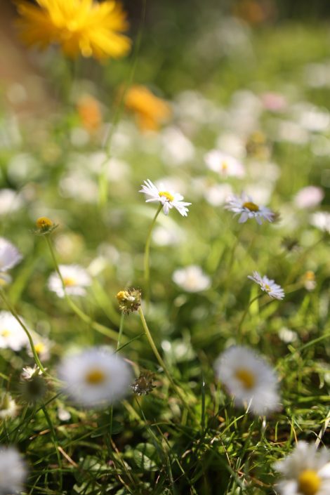 Spring is Here